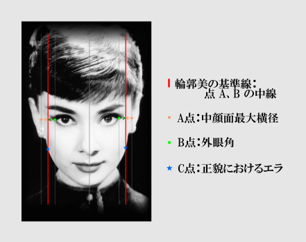 輪郭美の基準線：点A,Bの中線　A点：中顔面最大横径／B点：外眼角／C点：正貌におけるエラ
